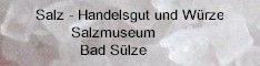 Hinweis-Link zu den Websites des Salzmuseum in Bad Sülze